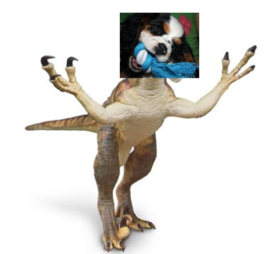 Gussciraptor.jpg