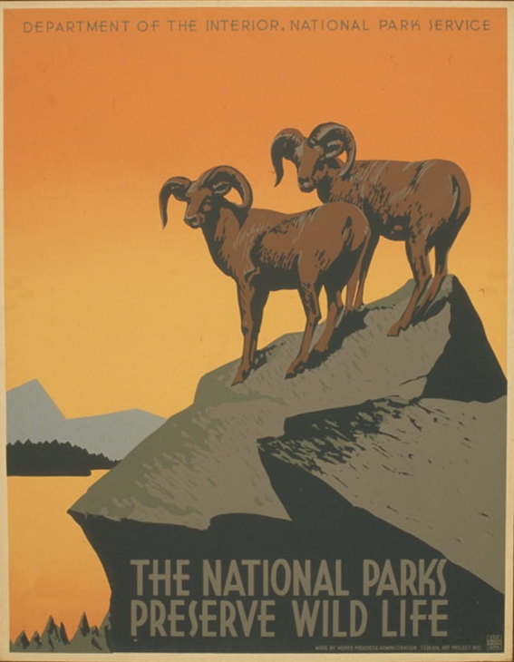 NP_PreserveWildLife.jpg