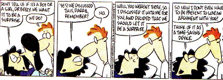 Baby Blues comic strip regarding the mother's decision not to know the sex of the baby